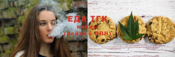 mdpv Бородино
