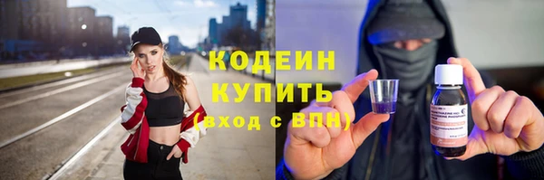 mdpv Бородино