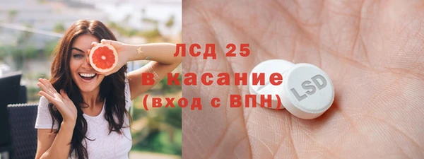 mdpv Бородино