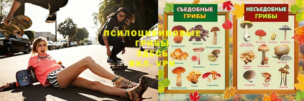 mdpv Бородино