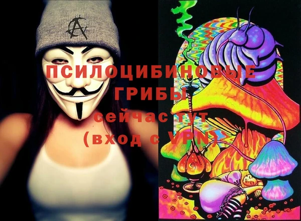 mdpv Верея