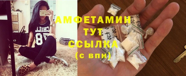 mdpv Бородино