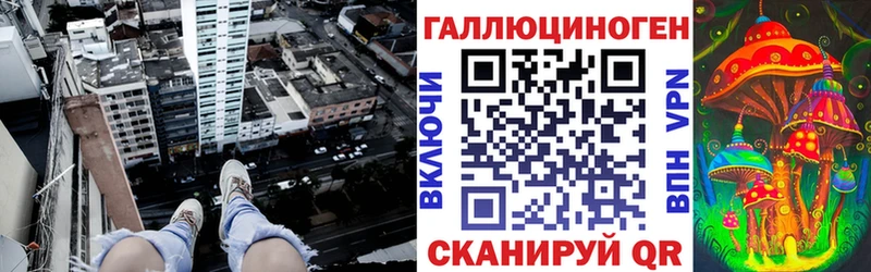 OMG сайт  Новохопёрск  Галлюциногенные грибы Cubensis 